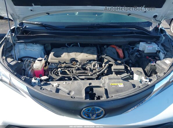 5TDKSKFC0MS039481 2021 TOYOTA SIENNA Белый Вид сзади