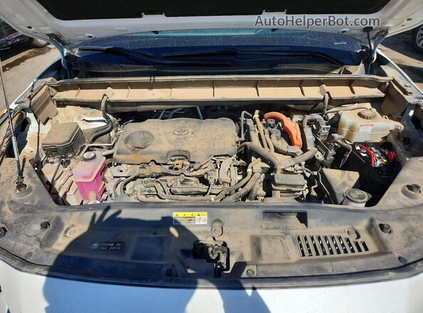 5TDXBRCH1LS006535 2020 TOYOTA HIGHLANDER White Widok wnętrza z tyłu
