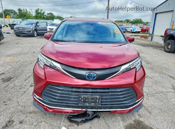 5TDYRKEC4PS161840 2023 TOYOTA SIENNA Красный Вид сзади