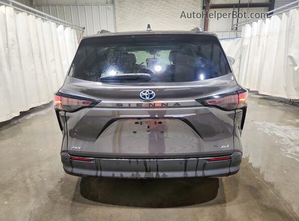 5TDYRKEC4SS259873 2025 TOYOTA SIENNA Gray უკანა ხედი