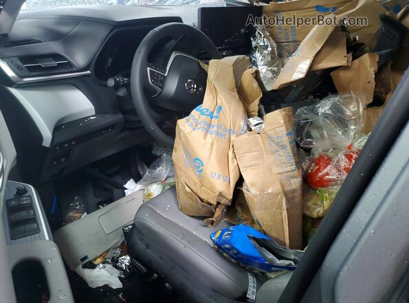 5TDYSKFC1TS248432 2026 TOYOTA SIENNA Silver Vista del salpicadero