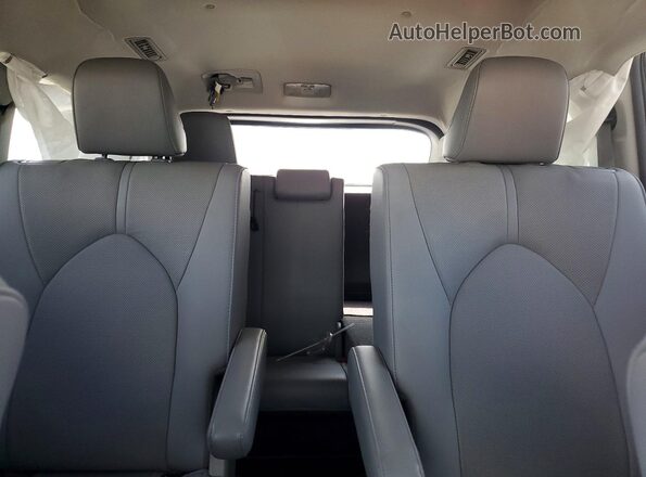 5TDYZRAH4LS025695 2020 TOYOTA HIGHLANDER Gray Հետևի նստատեղերի տեսք