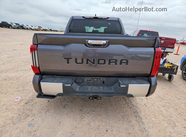 5TF1A5AB6SX047431 2025 TOYOTA TUNDRA Угольный Вид сзади