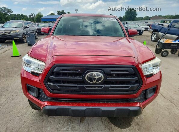 5TFAX5GN5KX159928 2019 TOYOTA TACOMA Красный Вид спереди