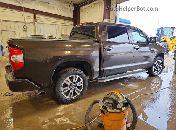 5TFAY5F10KX815691 2019 TOYOTA TUNDRA Brown Rear right