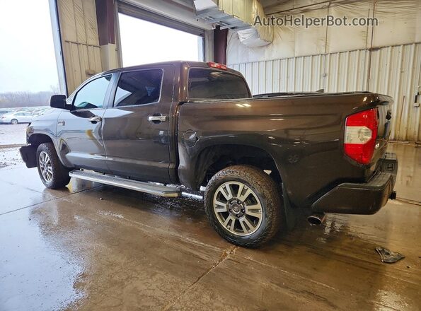 5TFAY5F10KX815691 2019 TOYOTA TUNDRA Brown Rear left