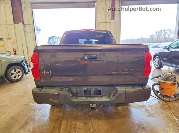 5TFAY5F10KX815691 2019 TOYOTA TUNDRA Brown Rear view