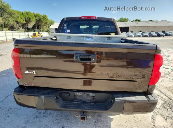 5TFAY5F13KX781004 2019 TOYOTA TUNDRA Brown Widok z tyłu