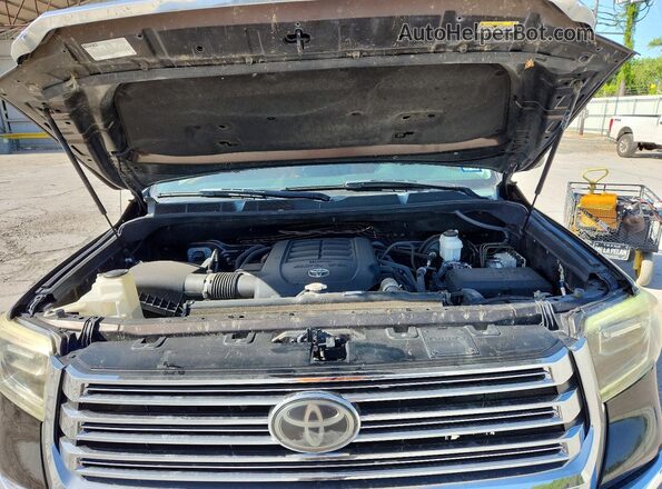 5TFAY5F13KX781004 2019 TOYOTA TUNDRA Brown Widok wnętrza z tyłu