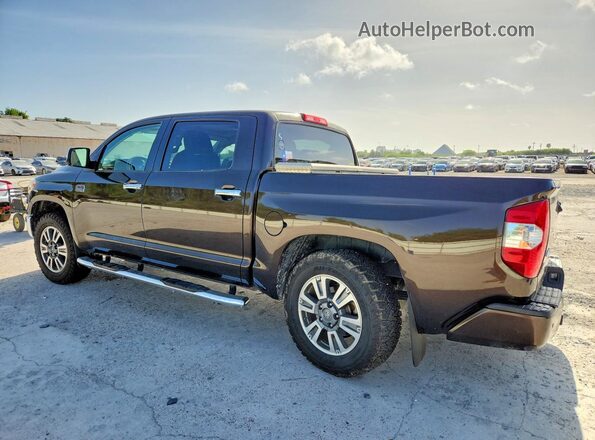 5TFAY5F13KX781004 2019 TOYOTA TUNDRA Brown Tył lewy