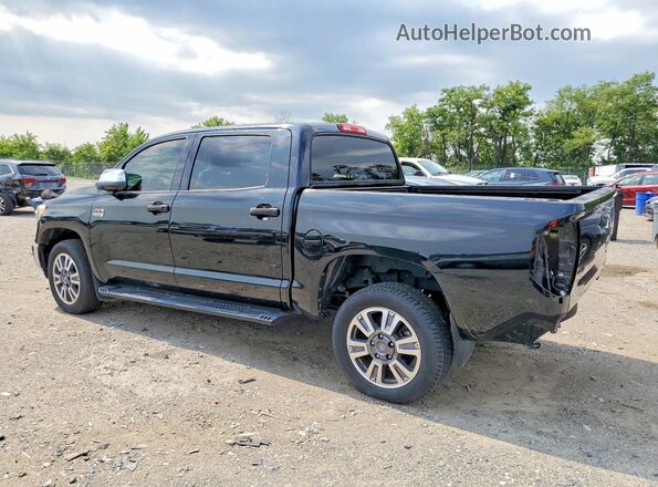 5TFAY5F15KX800281 2019 TOYOTA TUNDRA Black Задня ліва чверть