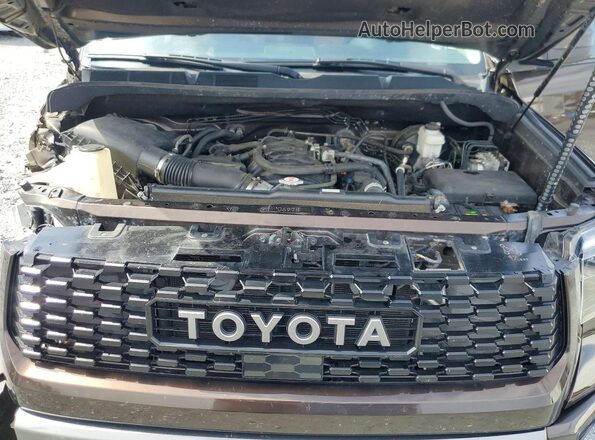 5TFAY5F17KX821410 2019 TOYOTA TUNDRA Brown უკანა სალონის ხედი