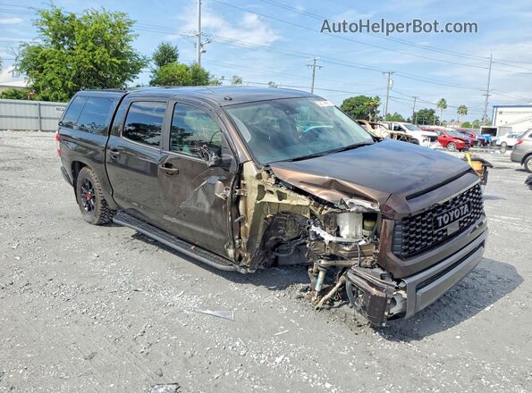 5TFAY5F17KX821410 2019 TOYOTA TUNDRA Brown წინა მარჯვენა