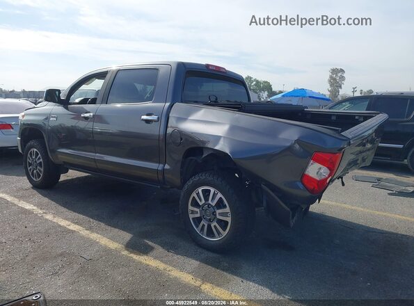 5TFAY5F17KX861941 2019 TOYOTA TUNDRA Gray Trasero izquierdo