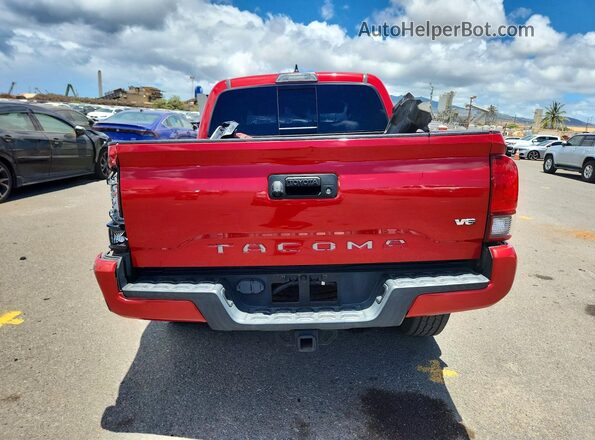 5TFCZ5AN3KX204828 2019 TOYOTA TACOMA Красный Вид сзади