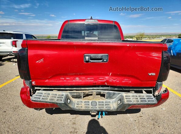 5TFCZ5AN7MX259124 2021 TOYOTA TACOMA Red უკანა ხედი