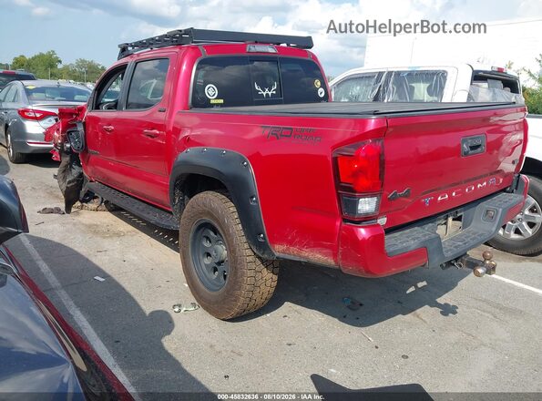 5TFCZ5AN8KX199934 2019 TOYOTA TACOMA Red Tył lewy