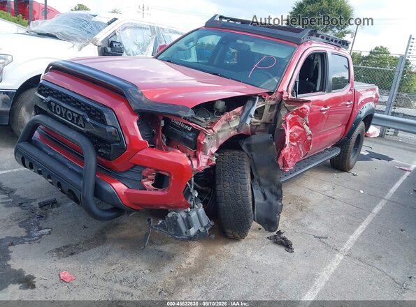 5TFCZ5AN8KX199934 2019 TOYOTA TACOMA Red Przód lewy