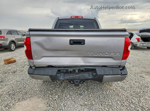5TFDW5F10HX605636 2017 TOYOTA TUNDRA Silver Вид ззаду