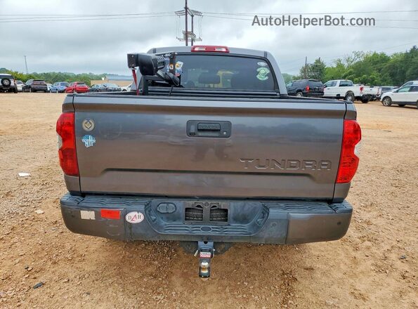 5TFDW5F10KX824877 2019 TOYOTA TUNDRA Gray Vista trasera