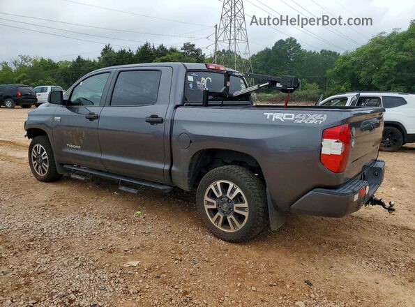 5TFDW5F10KX824877 2019 TOYOTA TUNDRA Gray Trasero izquierdo
