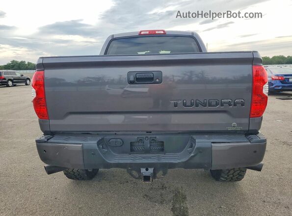 5TFDY5F10GX520899 2016 TOYOTA TUNDRA Gray უკანა ხედი