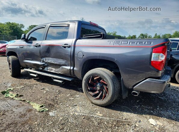 5TFDY5F10MX045945 2021 TOYOTA TUNDRA Серый Задняя левая четверть