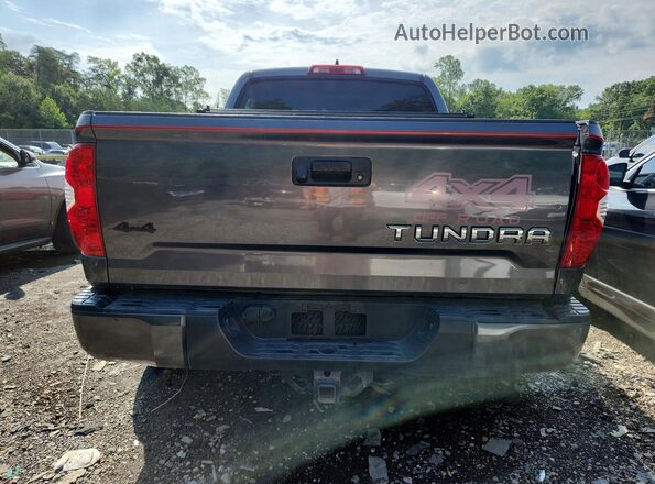 5TFDY5F10MX045945 2021 TOYOTA TUNDRA Серый Вид сзади