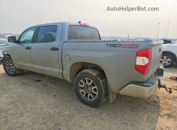 5TFDY5F11LX883156 2020 TOYOTA TUNDRA Gray Rear left