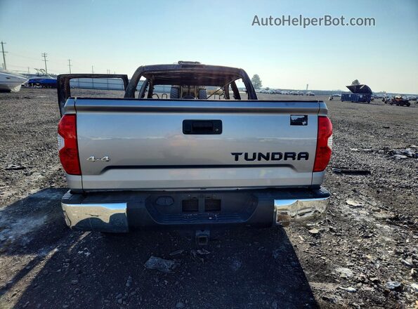 5TFDY5F12KX804222 2019 TOYOTA TUNDRA Серебряный Вид сзади