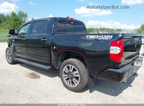5TFDY5F14MX978795 2021 TOYOTA TUNDRA Black Задня ліва чверть