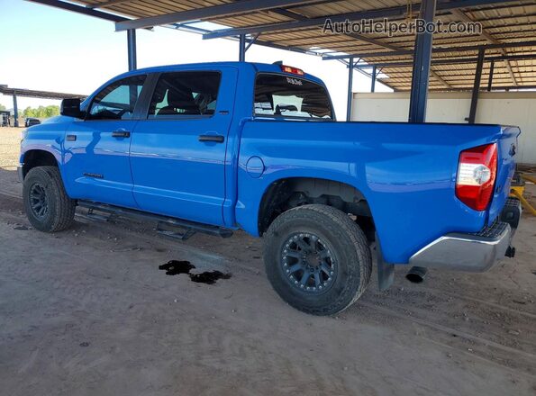 5TFDY5F14MX986153 2021 TOYOTA TUNDRA Blue უკანა მარცხენა