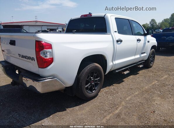 5TFDY5F18MX012675 2021 TOYOTA TUNDRA Белый Задняя правая четверть