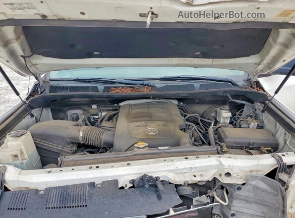 5TFEM5F18GX103871 2016 TOYOTA TUNDRA White Вид задньої частини салону