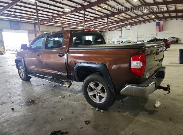 5TFEW5F11HX224298 2017 TOYOTA TUNDRA Brown Հետևի ձախ