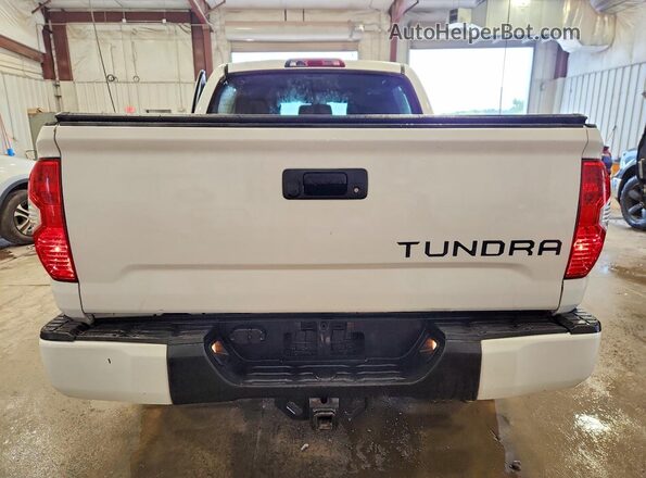 5TFEY5F11KX253317 2019 TOYOTA TUNDRA Белый Вид сзади