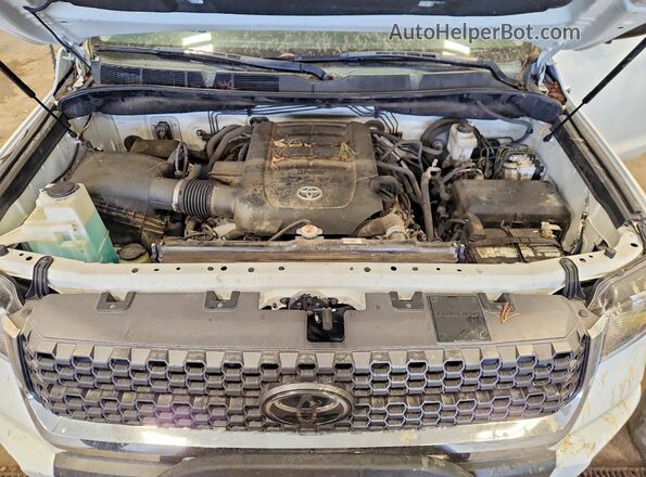 5TFEY5F11KX253317 2019 TOYOTA TUNDRA Белый Вид задней части салона