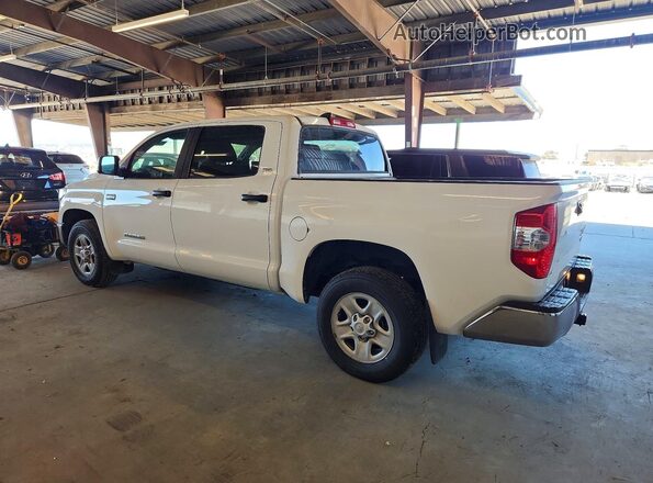 5TFEY5F13MX288041 2021 TOYOTA TUNDRA Белый Задняя левая четверть