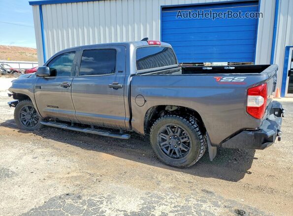 5TFEY5F14MX294768 2021 TOYOTA TUNDRA Серый Задняя левая четверть