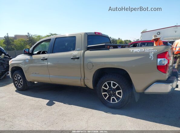 5TFEY5F18HX226009 2017 TOYOTA TUNDRA Tan Панорамний вид салону 360°
