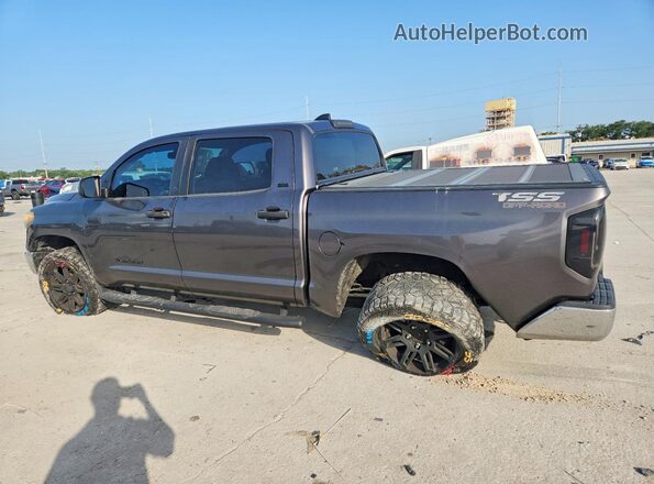 5TFEY5F19LX259755 2020 TOYOTA TUNDRA Серый Задняя левая четверть