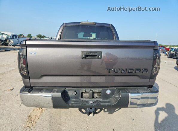 5TFEY5F19LX259755 2020 TOYOTA TUNDRA Серый Вид сзади