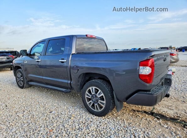 5TFGY5F11KX249129 2019 TOYOTA TUNDRA Gray Հետևի ձախ
