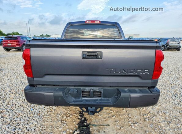 5TFGY5F11KX249129 2019 TOYOTA TUNDRA Gray Հետևի տեսք