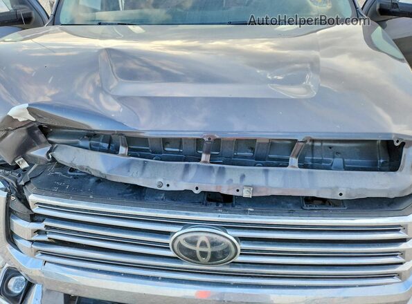 5TFGY5F11KX249129 2019 TOYOTA TUNDRA Gray Սալոնի հետևի տեսք