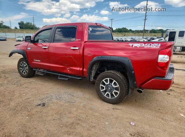 5TFHY5F10KX785669 2019 TOYOTA TUNDRA Red უკანა მარცხენა