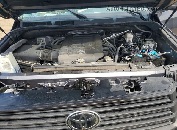 5TFHY5F16MX020890 2021 TOYOTA TUNDRA Gray უკანა სალონის ხედი
