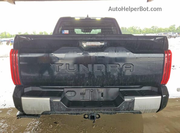 5TFJA5AB7NX019352 2022 TOYOTA TUNDRA Черный Вид сзади