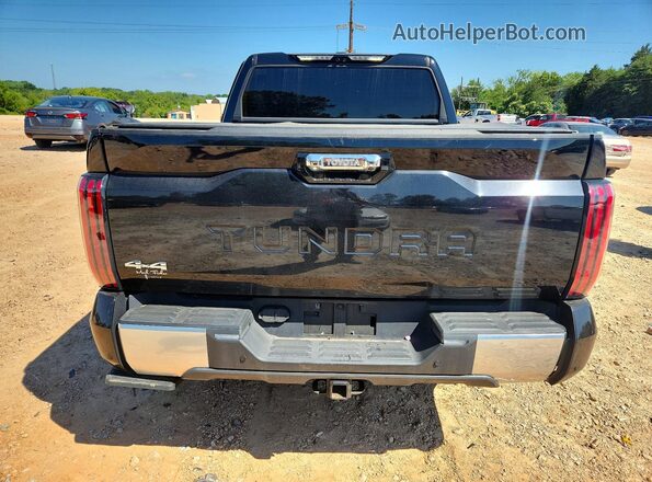 5TFJA5DB1NX034313 2022 TOYOTA TUNDRA Черный Вид сзади