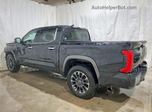 5TFJA5DB1RX234825 2024 TOYOTA TUNDRA Black Հետևի ձախ